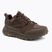 Herren-Trekking-Schuhe Jack Wolfskin Terraquest Texapore Low gecko bear