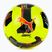 PUMA Orbit 7 MS Zitrone Tonic/Multicolor Größe 4 Fußball