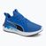 Laufschuhe PUMA PUMA Softride Carson vivid blue/puma navy