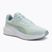 Laufschuhe PUMA PUMA Skyrocket Lite peaceful blue/yellow alert