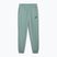 Hosen Herren PUMA ESS No. 1 Logo Sweatpants TR CL green moon