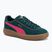 Schuhe Damen PUMA Club Klassika Suede dark myrtle/puma pink