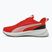 Laufschuhe PUMA PUMA Flyer Lite 3 puma black/for all time red