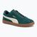 Herrenschuhe PUMA Club II Era Suede dark myrtle/alpine snow/gum