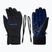 Herren Skihandschuhe ZIENER Garim As cobalt blue
