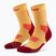 CEP Herren Kompressionssocken Run Mid Cut 5.0 marigold/burgundy