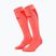 Damensocken CEP Ultralight Tall 4.0 neon coral/red