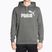 Herren Hoodie Sweatshirt PUMA Essentials Big Logo Hoodie FL mineral gray