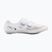 Herren-Rennradschuhe Shimano SH-RC703 white