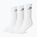 Herren­socken Boxraw Crew 3 szt. White