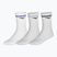 Mizuno Training With Line Socken 3 Paar weiß / Äther / Glockenblume