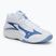 Volleyballschuhe Mizuno Thunder Blade Z Mid white/bellwether blue/bel air blue