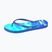 Herren Flip-Flops Speedo Flip Flop deep sapphire/sea and sky