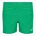 Nike Essential 4" Volley Stadion grün Kinder-Badeshorts