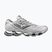 Schuhe Mizuno Wave Prophecy LS cloudscape/white/silver