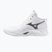 Volleyballschuhe Mizuno Wave Momentum Pro Mid white/metallic gray/black