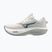 Herren-Laufschuhe Mizuno Wave Rider 30 foggy dew/dark slate/white