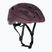 Fahrrad Helm Lazer Tempo KinetiCore cosmic berry