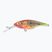FishTank Charlie Papagei Wobbler PRD-CH5F-PR