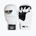 Grappling-Handschuhe StormCloud Hurricane white/black