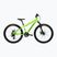 Kinderfahrrad KROSS Dust Jr 1.0 Dsc green/green/gloss