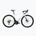 Rennrad KROSS Alta 4.0 mint/turquoise/gloss