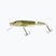 Salmo Pike Jointed FL echter Hecht Wobbler QPE004