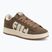 Herren Schuhe Pitbull Walker Logo coyote brown