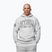 Herrenpullover Pitbull Badger Hooded grey/melange