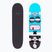 Fish Skateboards Pro Bart 8.0" klassisches Skateboard