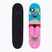 Fish Skateboards Pro Paul 8,25" klassisches Skateboard