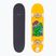 Fish Skateboards Anfänger Superior 8.0" klassisches Skateboard