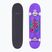 Fish Skateboards Anfänger Huron 8.0" klassisches Skateboard