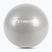 TREXO Gymball TXO-B4Z007-GY 55 cm grau