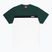 Shirt Herren PROSTO Plooz green