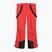 Herren-Skihose 4F Fnk M1155 red