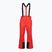 Herren-Skihose 4F Fnk M1155 red