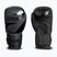 Boxhandschuhe StormCloud Lynx 2.0 black/black