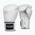 Boxhandschuhe StormCloud Muay Thai Blizzard 2.0 white/silver
