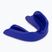 Kieferschutz RAJA BOXING RMG blue
