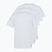 Herren T-Shirt PROSTO Basic 3er-Pack weiß