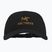Basecap Arcteryx Bird Wood 24k black
