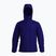 Arc'teryx Atom Hoody Soulsonic Herren-Isolierjacke