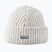 Wintermütze Devold Nansen Wool grey/melange