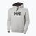 Herren Helly Hansen HH Logo Hoodie grau/melange