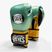 Boxhandschuhe Cleto Reyes Velcro SPaarring metalic green/gold wbc