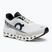 Herren On Cloudmonster 2 weiß/frost Laufschuhe