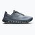 Herren-Laufschuhe On Cloudsurfer Next stone/marsh