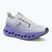 Herren Laufschuhe On Cloudsurfer Max wolf/sailor