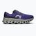 Herren-Laufschuhe On Cloudmonster 3 twilight/white
